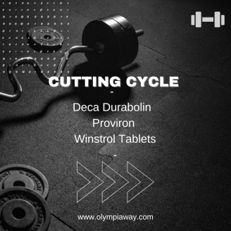 Cutting Cycle - Deca Durabolin + Proviron + Winstrol Tablets